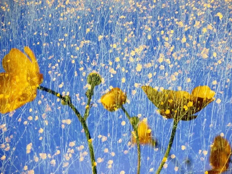 Photo by Korinna Fröhlich