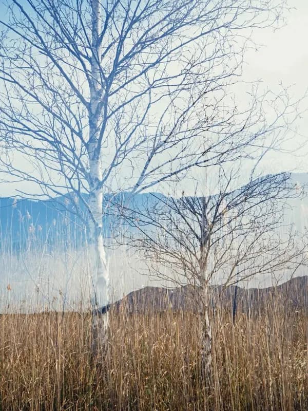 Photo by Korinna Fröhlich