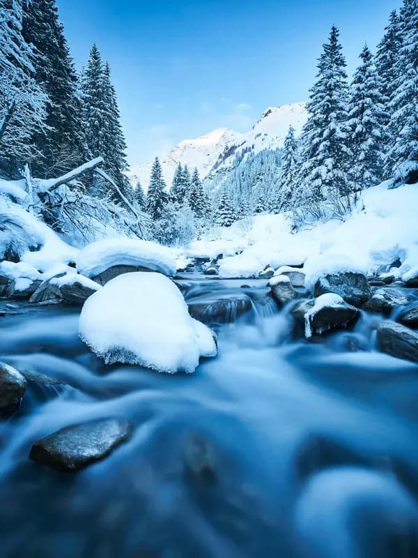 Photo by Sebastian Grundgeir