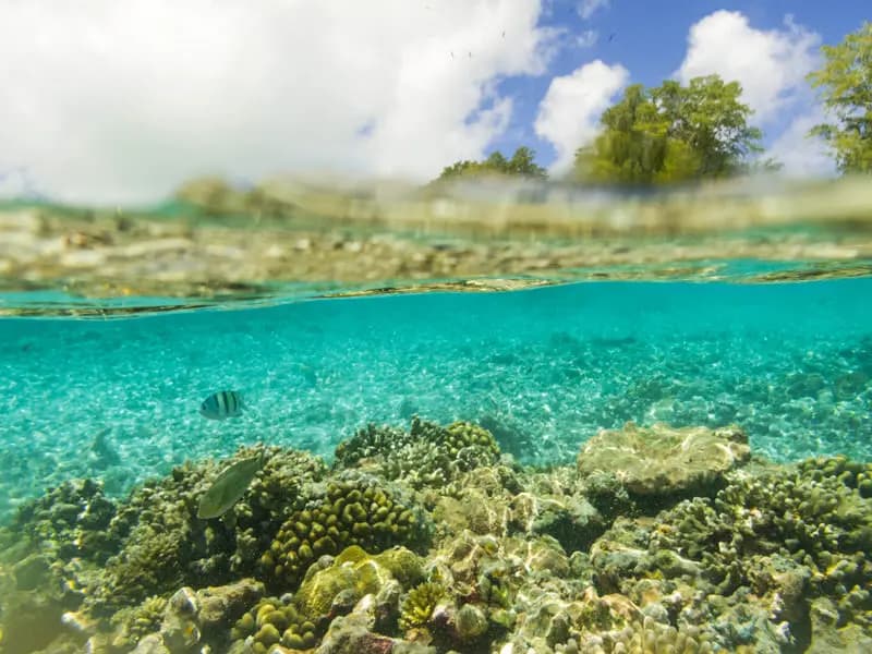 Photo by Malini Pittet