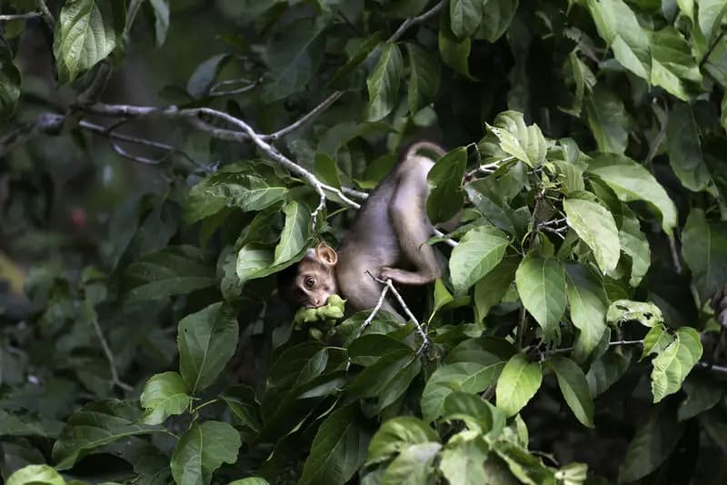 Photo by Malini Pittet