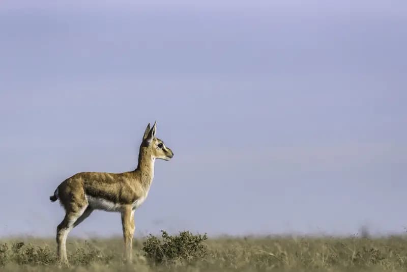 Photo by Malini Pittet