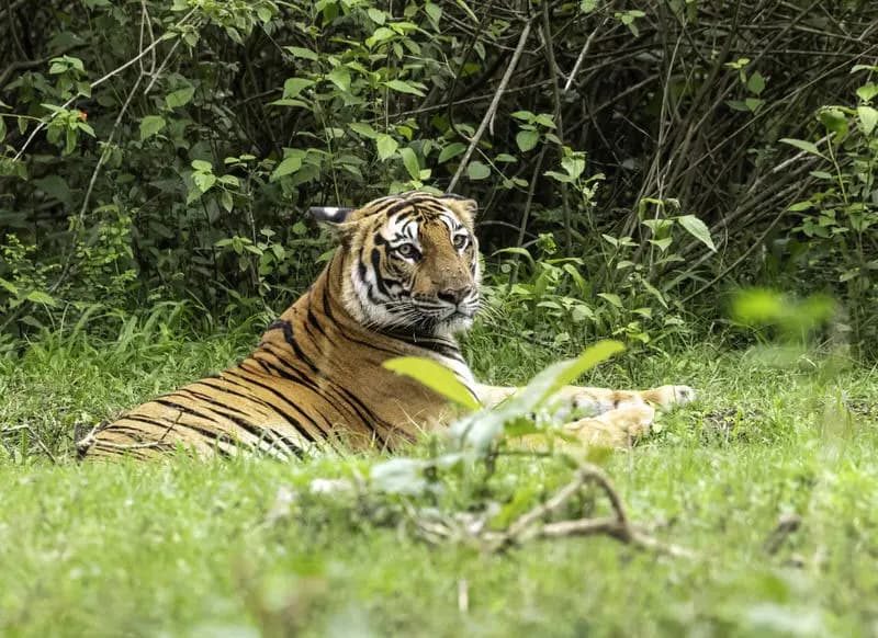 Photo by Malini Pittet