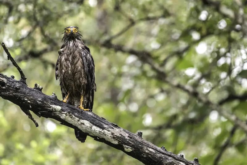 Photo by Malini Pittet