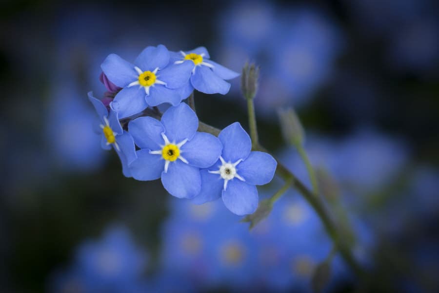 Photo by Matthias Gaberthüel