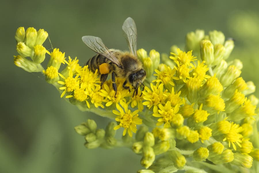 Photo by Matthias Gaberthüel