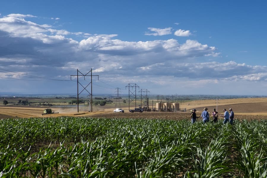 Photo by Matthias Gaberthüel