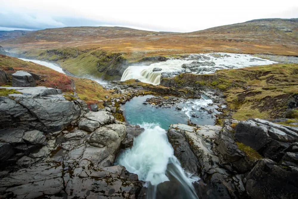 Photo by Flavia Müller