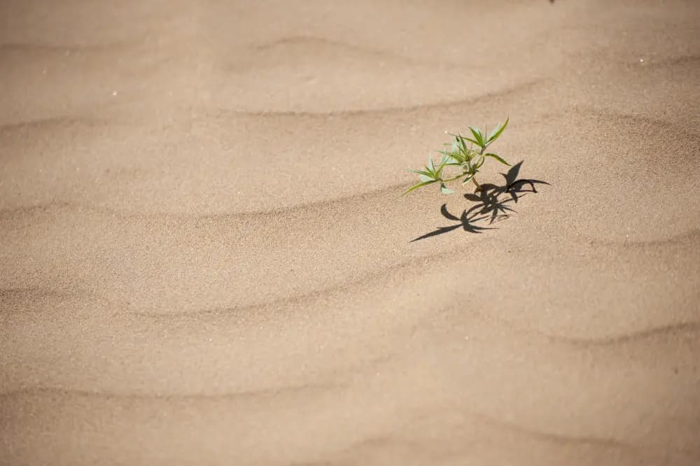 Photo by Flavia Müller