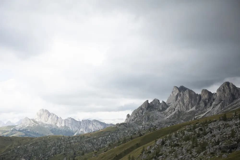 Photo by Flavia Müller