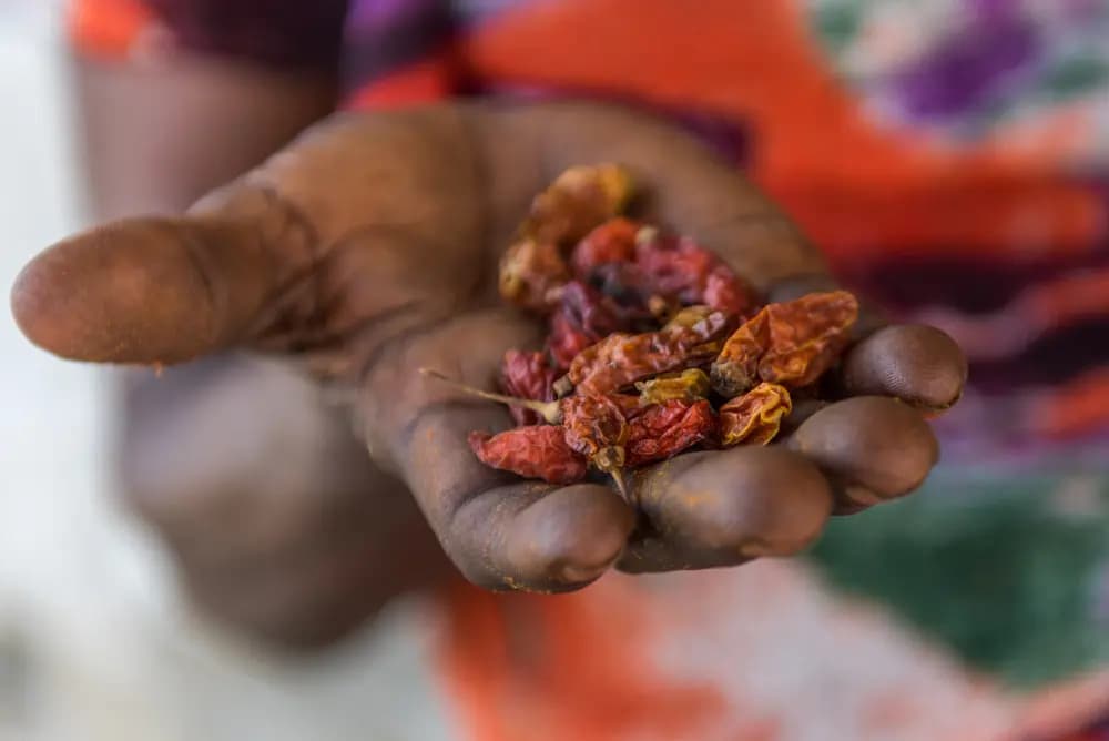 Photo by Flavia Müller