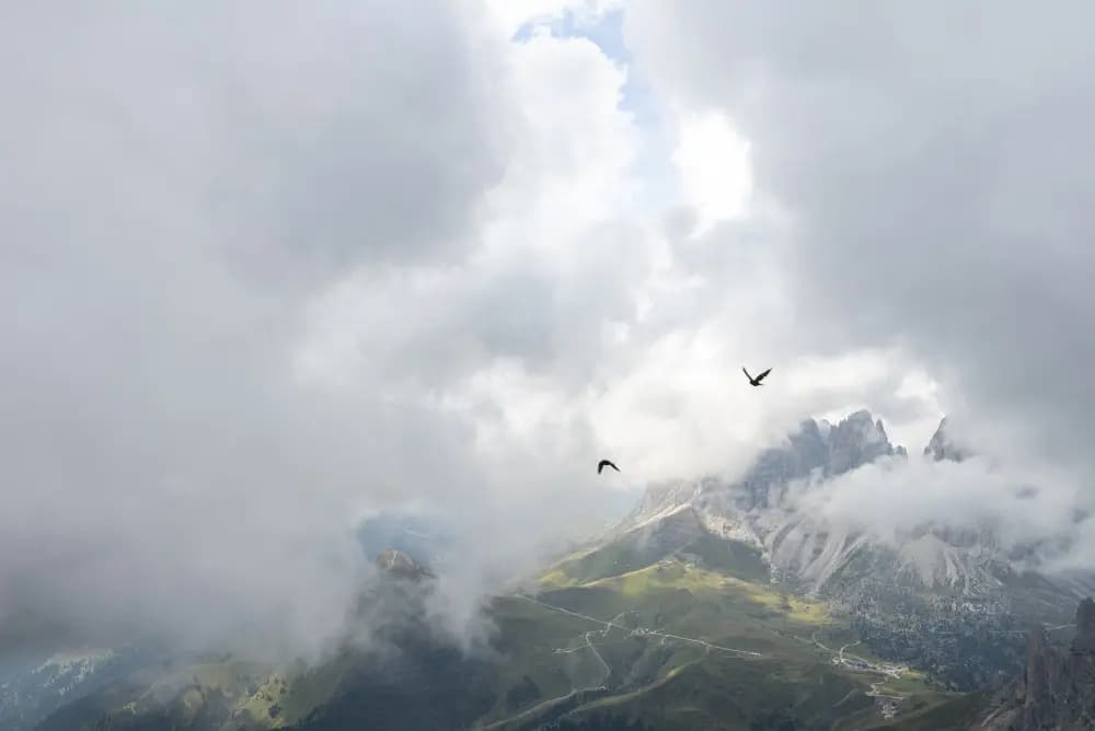 Photo by Flavia Müller