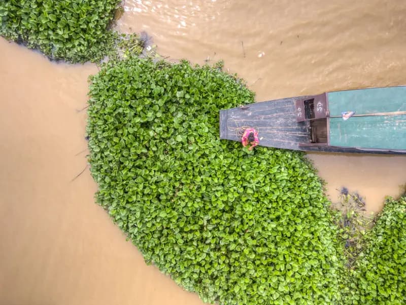 Photo by Placido Faranda