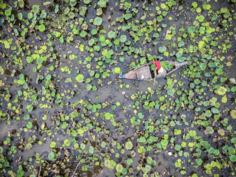 Photo by Placido Faranda