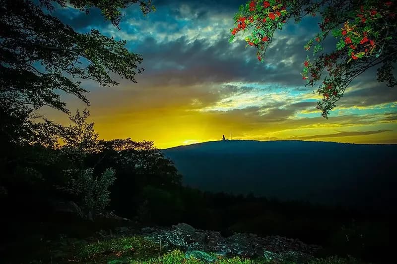 Photo by Roman Stöppler