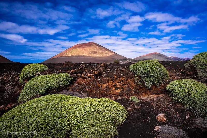 Photo by Roman Stöppler
