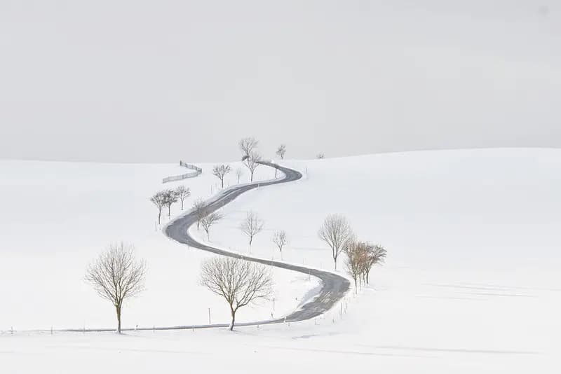 Photo by Roman Stöppler