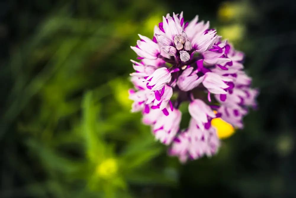 Photo by Thomas Halfmann