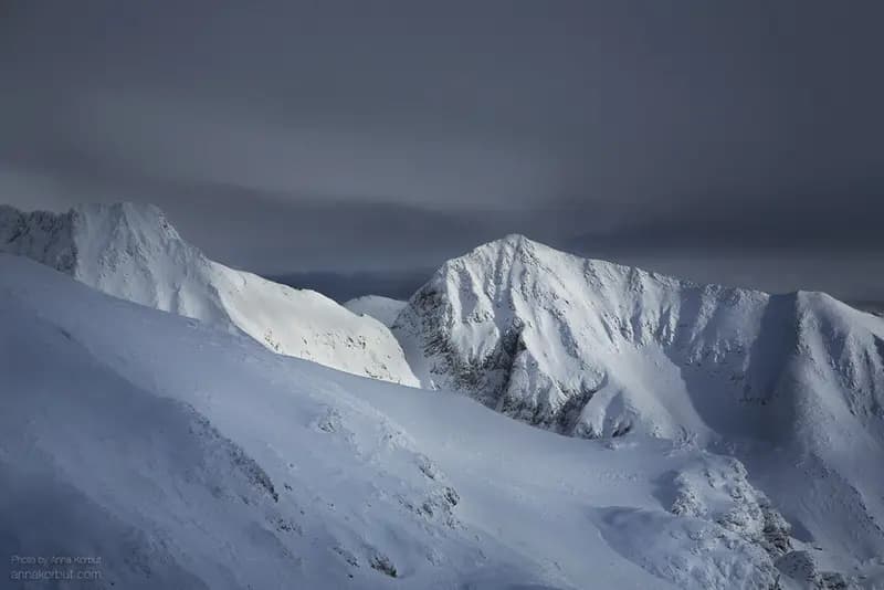 Photo by Anna Korbut