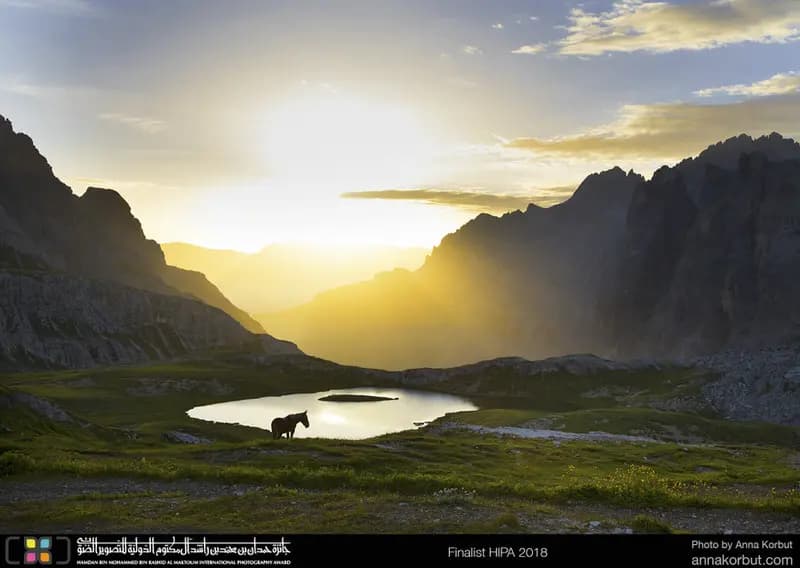 Photo by Anna Korbut