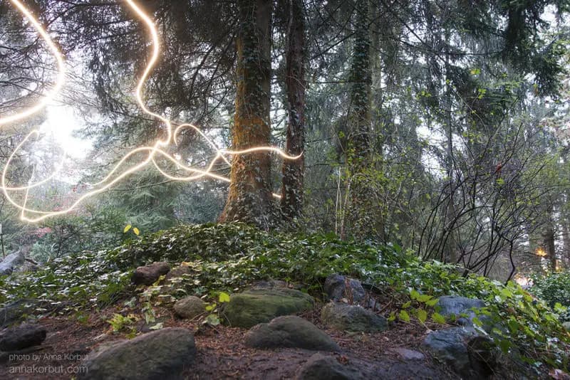 Photo by Anna Korbut