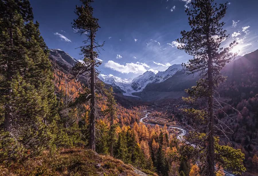 Photo by Manuel Kurth