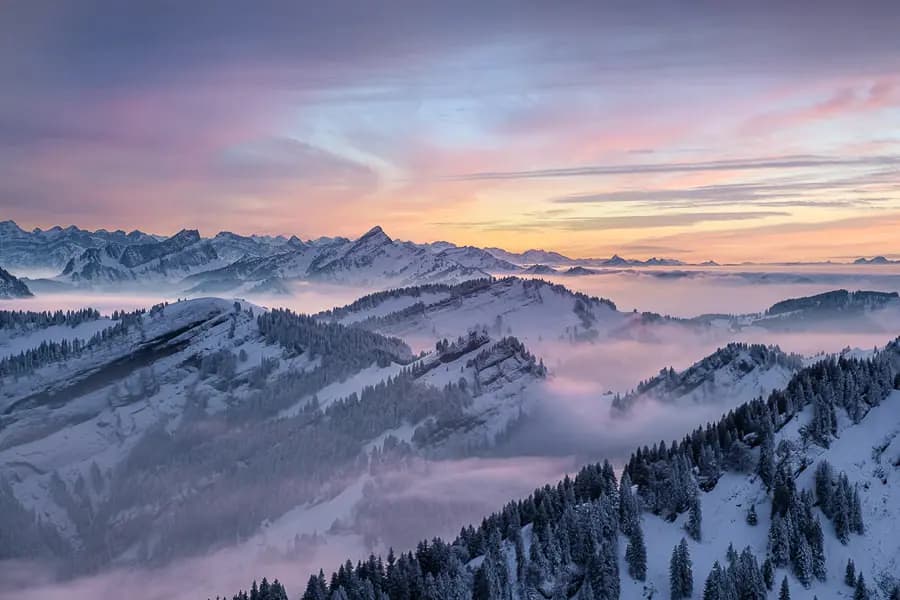 Photo by Manuel Kurth