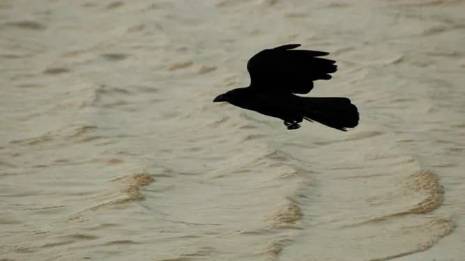 Photo by Antonio Lopez