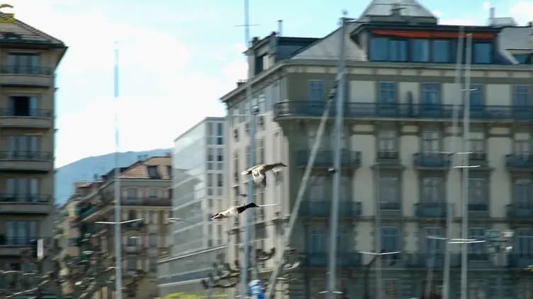 Photo by Antonio Lopez