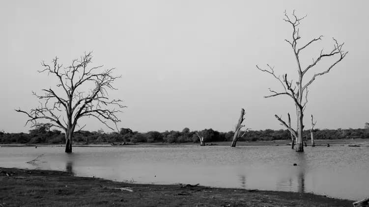 Photo by Antonio Lopez