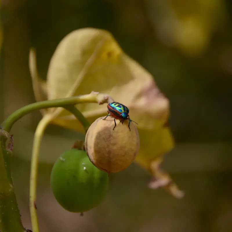 Photo by Antonio Lopez