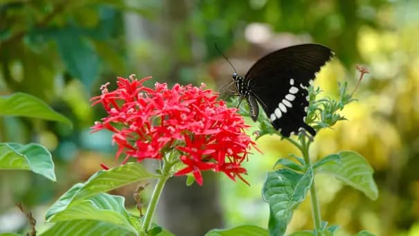 Photo by Antonio Lopez