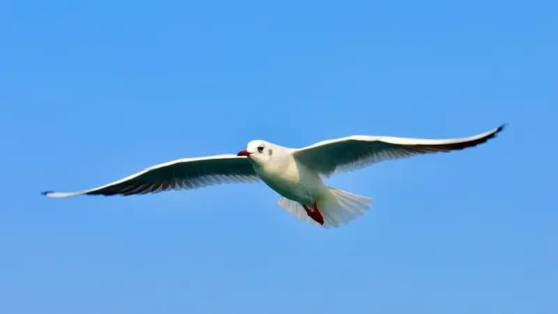 Photo by Antonio Lopez