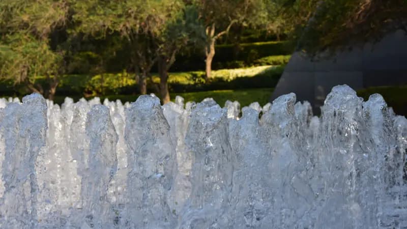 Photo by Antonio Lopez