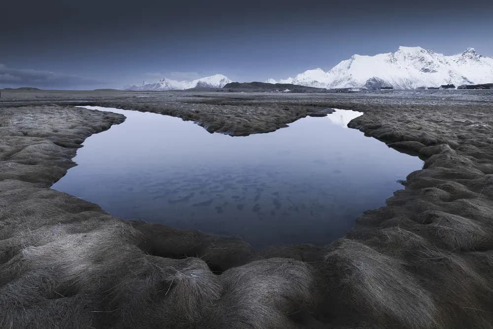 Photo by Davide Giannetti