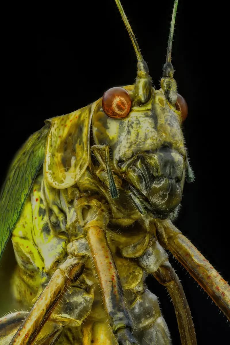 Photo by Xavier Peillon