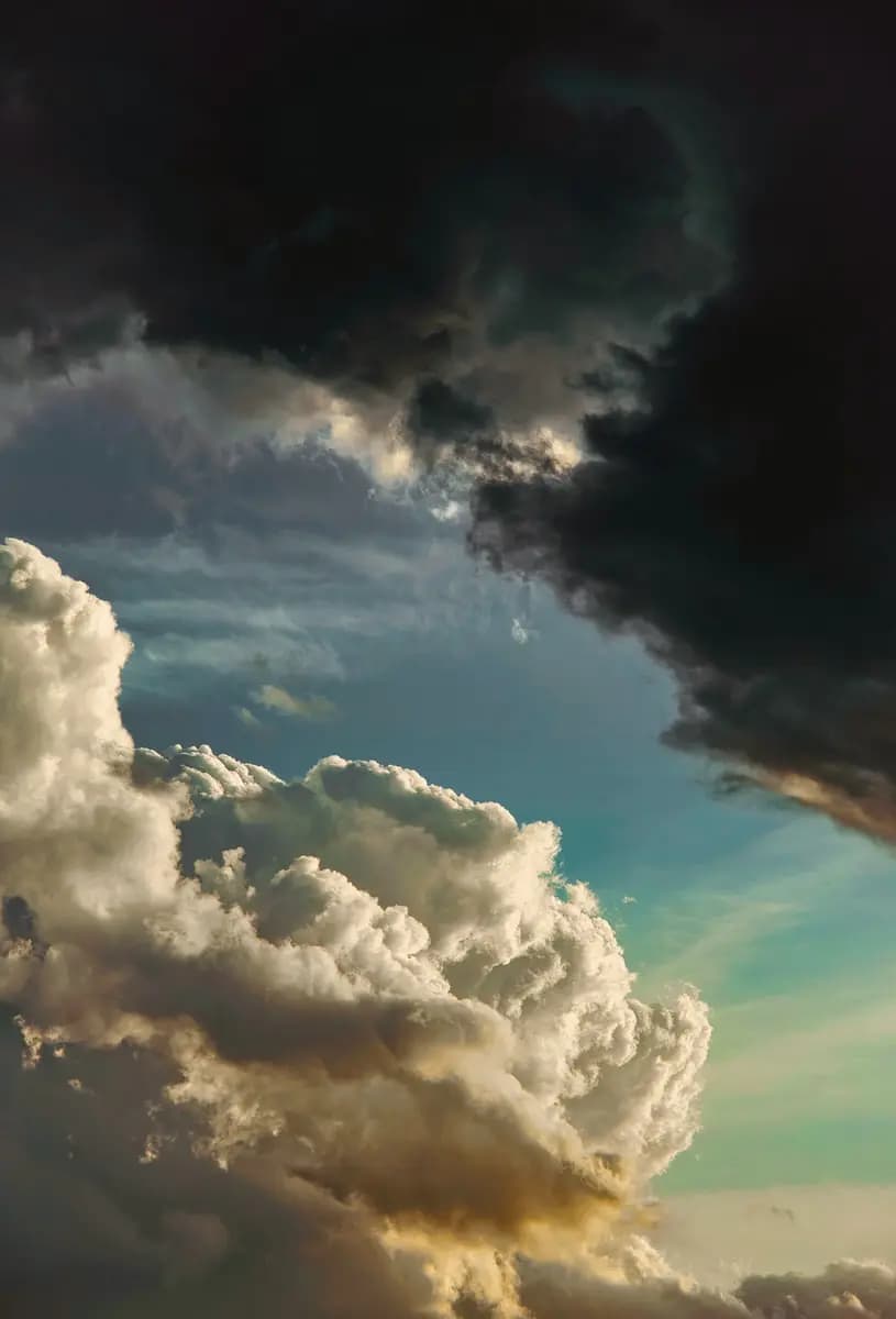 Photo by Xavier Peillon