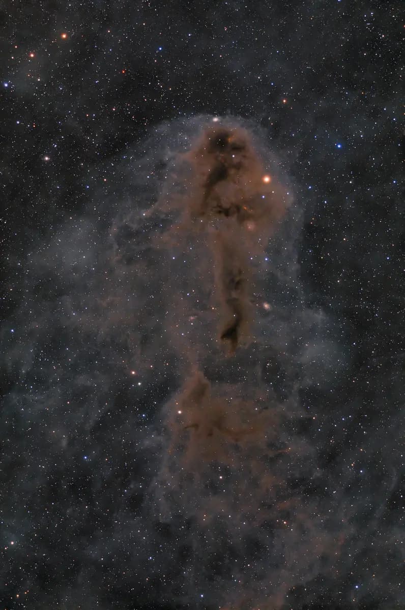 Photo by Xavier Peillon