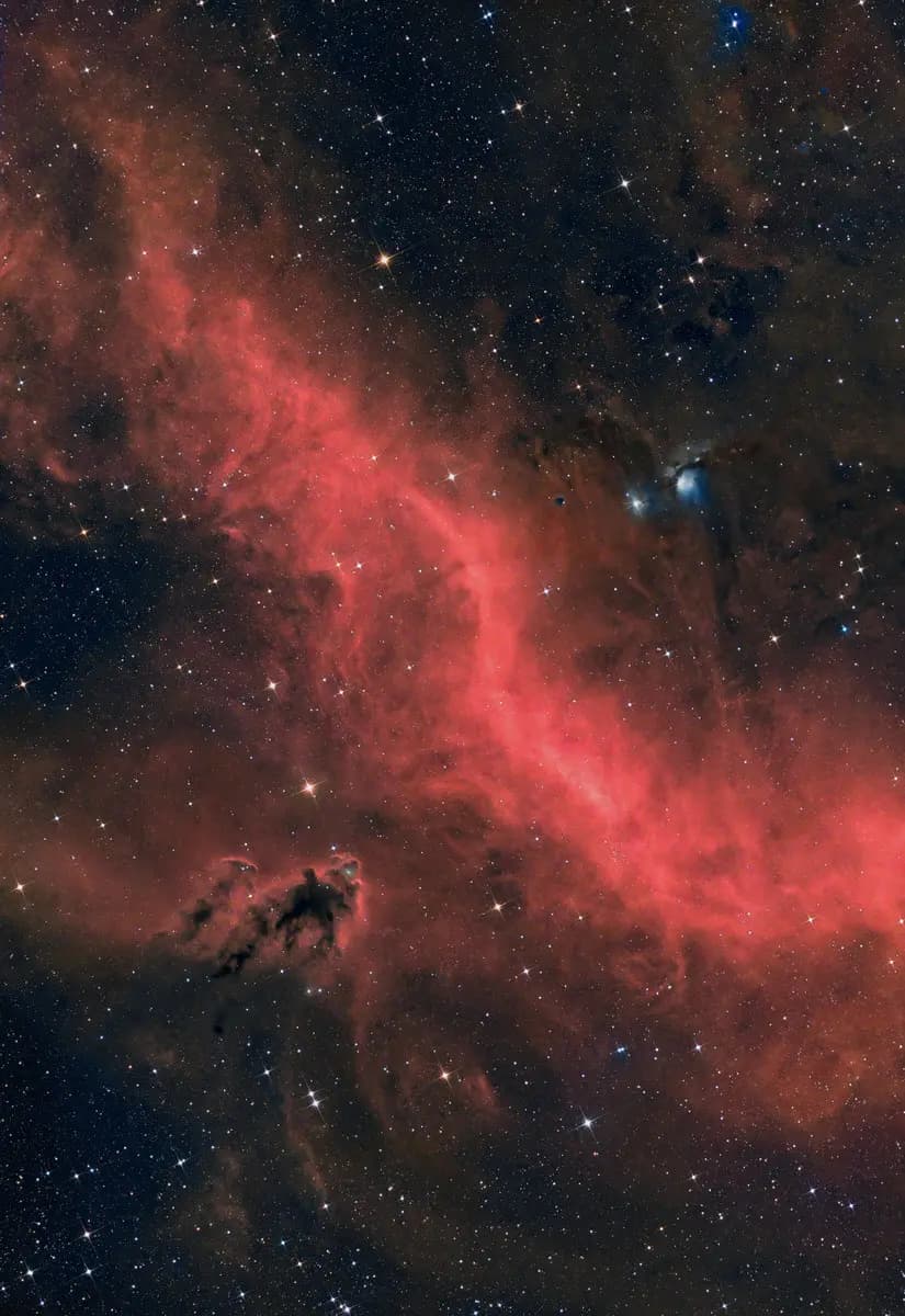 Photo by Xavier Peillon