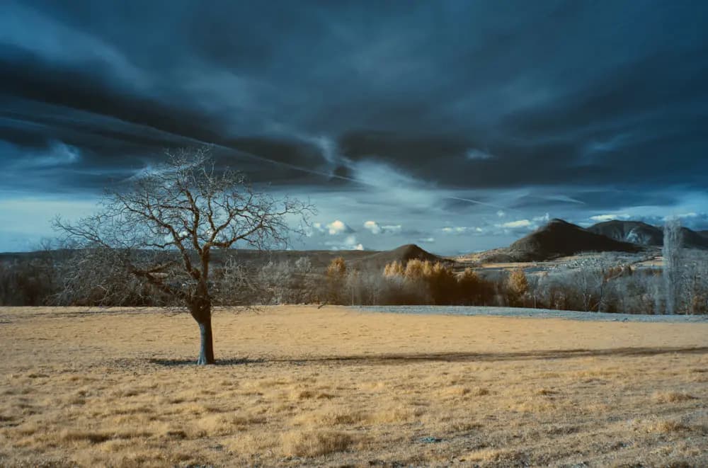 Photo by Xavier Peillon