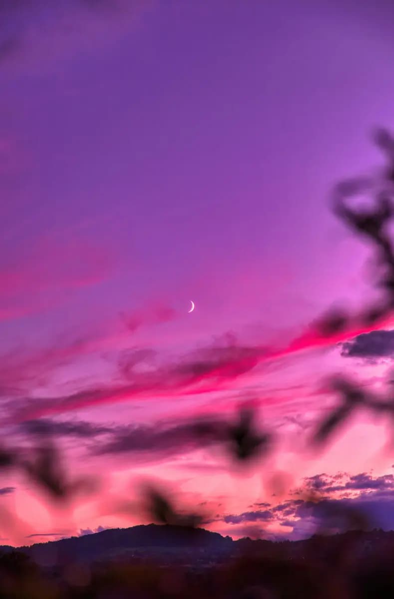 Photo by Xavier Peillon