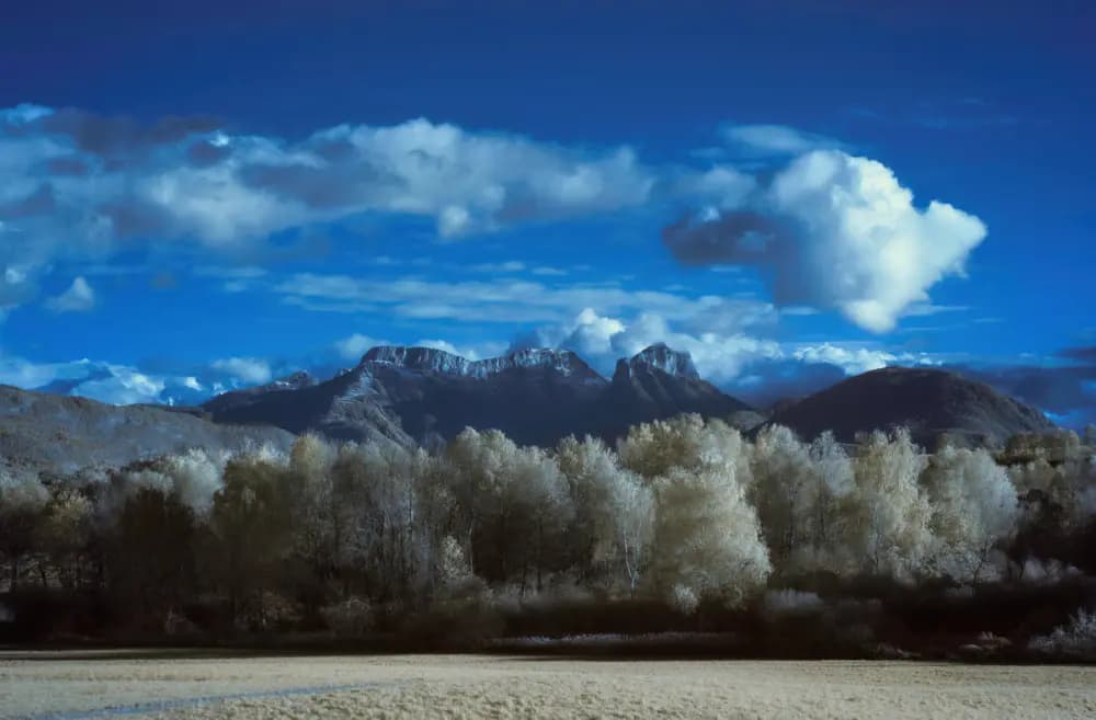 Photo by Xavier Peillon