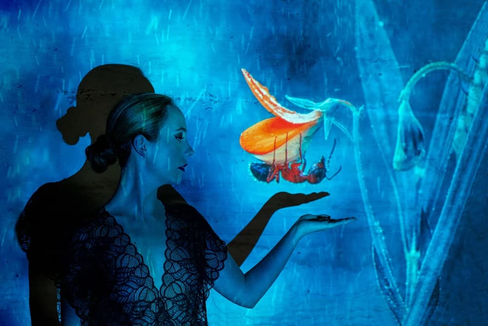 Photo by Jonas Wiemann