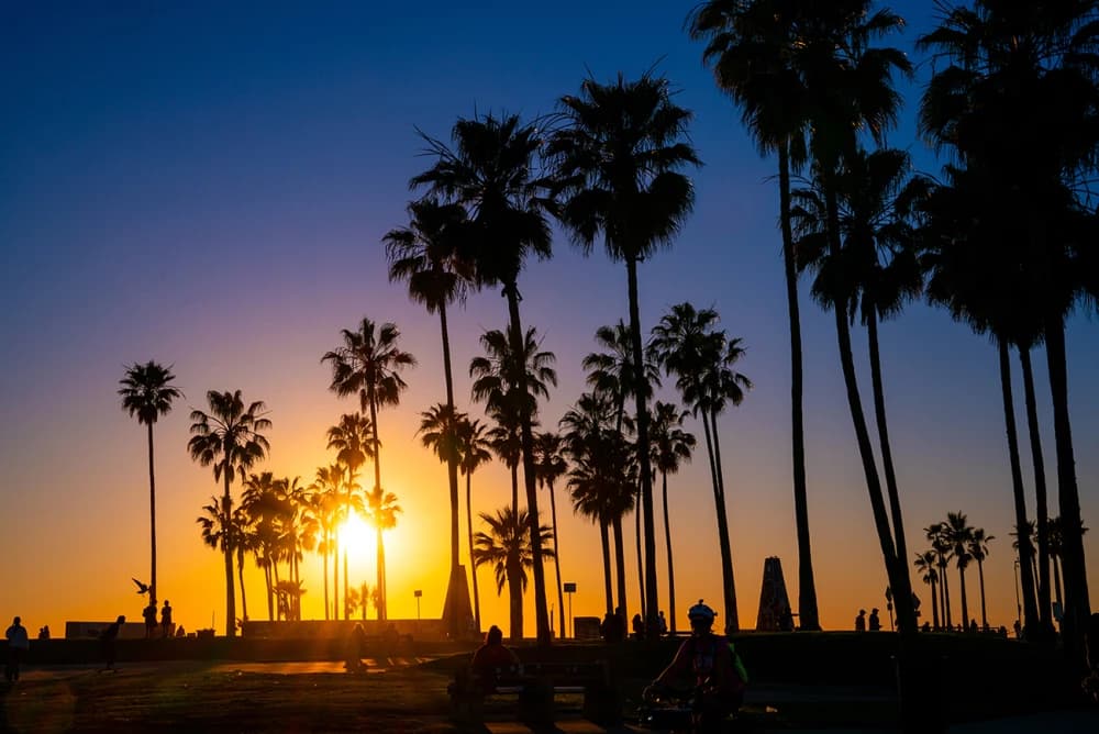 Photo by Jonas Wiemann