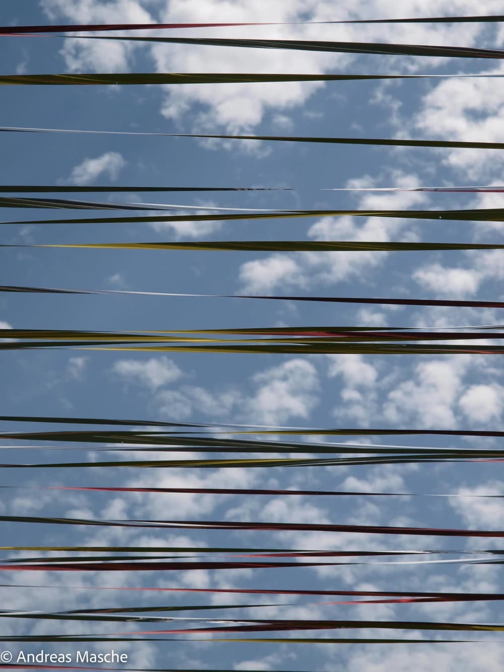 Photo by Andreas Masche