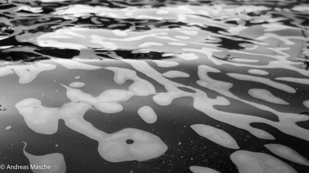 Photo by Andreas Masche