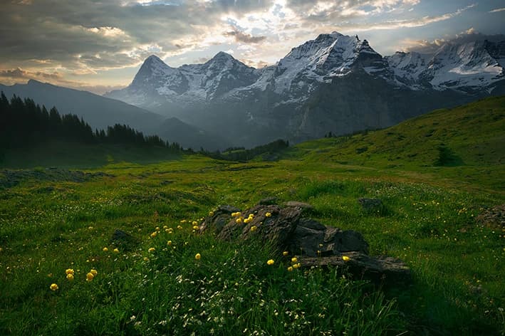 Photo by Andrea Sanchini