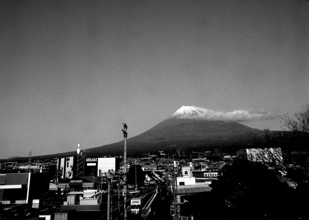 Photo by Jill Corral