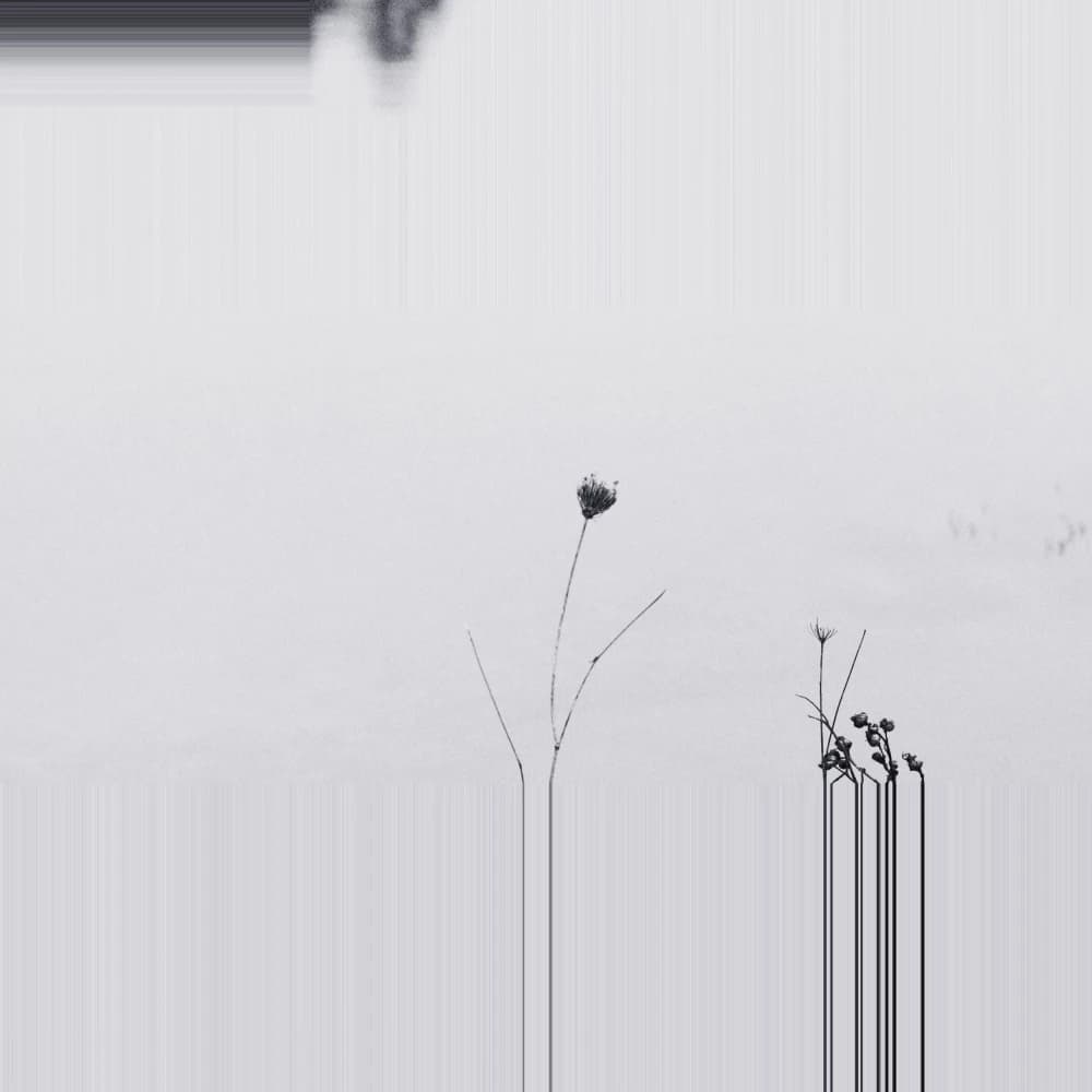 Photo by Jill Corral