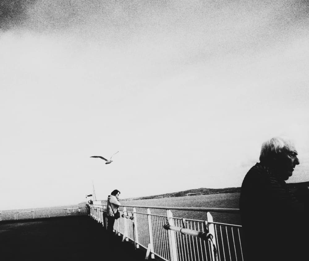 Photo by Jill Corral